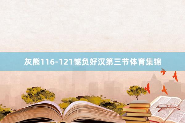 灰熊116-121憾负好汉第三节体育集锦