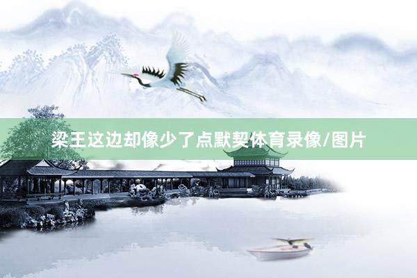 梁王这边却像少了点默契体育录像/图片