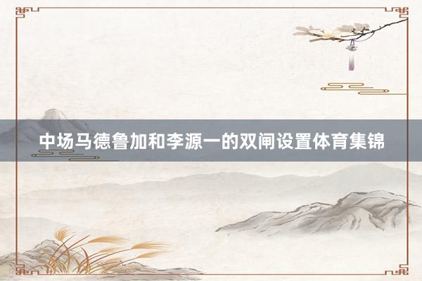 中场马德鲁加和李源一的双闸设置体育集锦