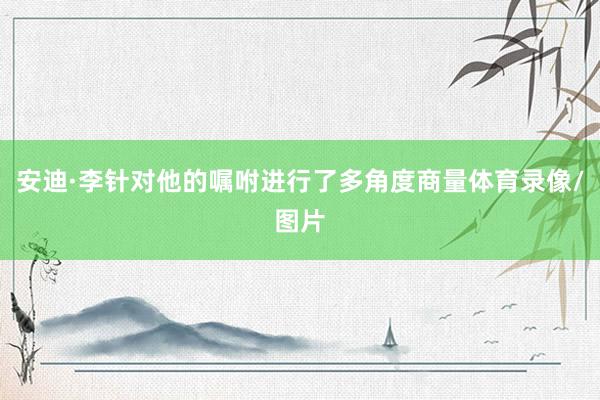 安迪·李针对他的嘱咐进行了多角度商量体育录像/图片