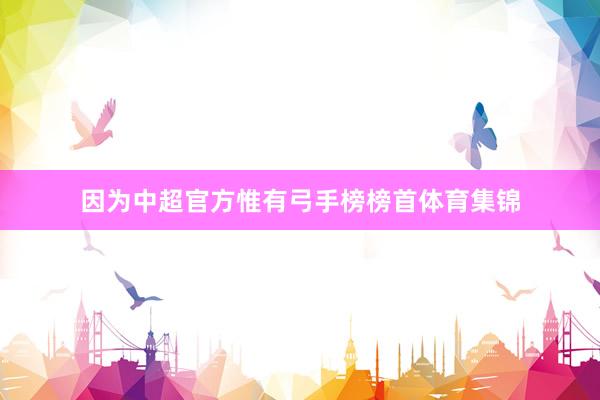 因为中超官方惟有弓手榜榜首体育集锦