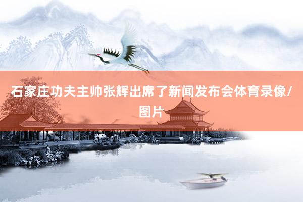 石家庄功夫主帅张辉出席了新闻发布会体育录像/图片