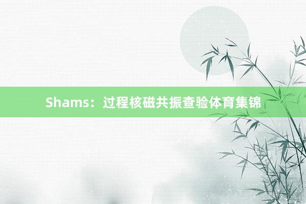 Shams：过程核磁共振查验体育集锦