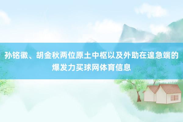 孙铭徽、胡金秋两位原土中枢以及外助在遑急端的爆发力买球网体育信息