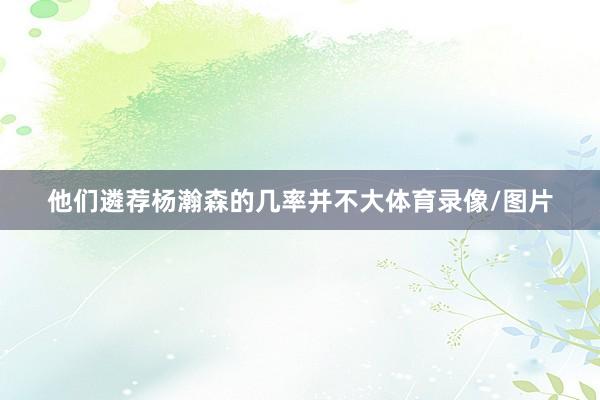 他们遴荐杨瀚森的几率并不大体育录像/图片
