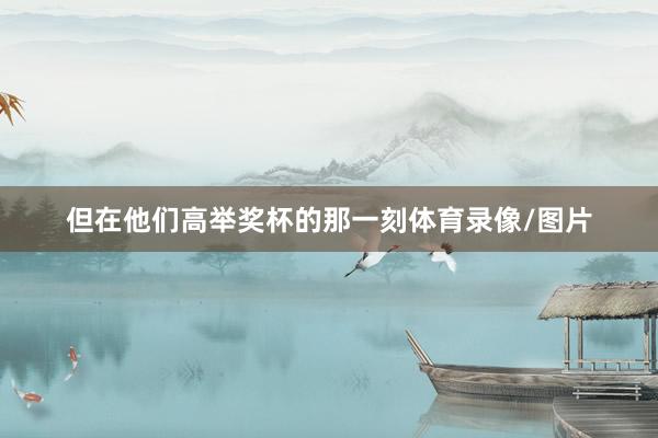 但在他们高举奖杯的那一刻体育录像/图片