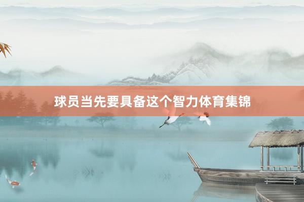 球员当先要具备这个智力体育集锦