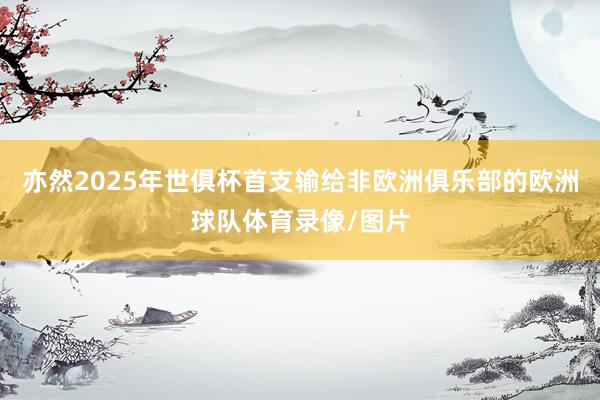 亦然2025年世俱杯首支输给非欧洲俱乐部的欧洲球队体育录像/图片