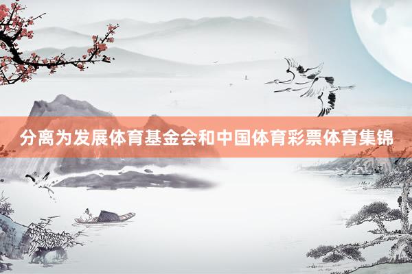 分离为发展体育基金会和中国体育彩票体育集锦