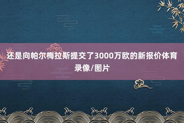 还是向帕尔梅拉斯提交了3000万欧的新报价体育录像/图片