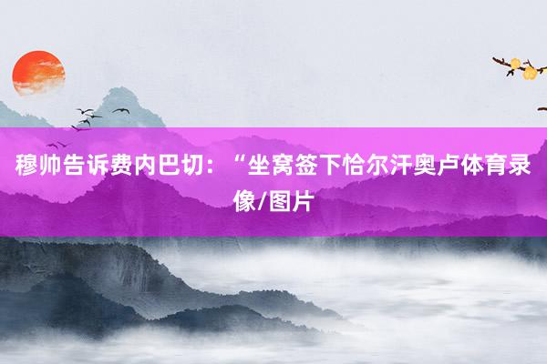 穆帅告诉费内巴切：“坐窝签下恰尔汗奥卢体育录像/图片