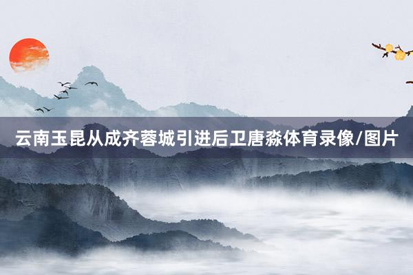 云南玉昆从成齐蓉城引进后卫唐淼体育录像/图片
