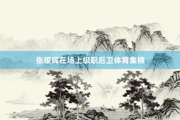 张瑷晖在场上级职后卫体育集锦