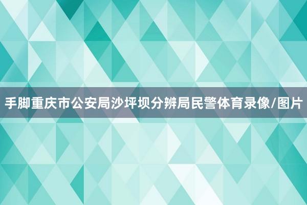 手脚重庆市公安局沙坪坝分辨局民警体育录像/图片