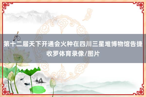 第十二届天下开通会火种在四川三星堆博物馆告捷收罗体育录像/图