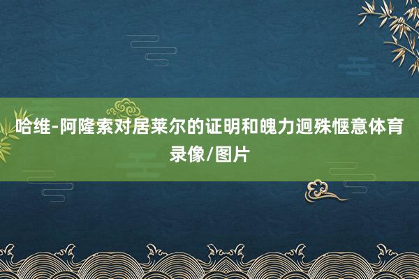 哈维-阿隆索对居莱尔的证明和魄力迥殊惬意体育录像/图片