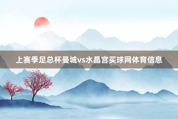 上赛季足总杯曼城vs水晶宫买球网体育信息