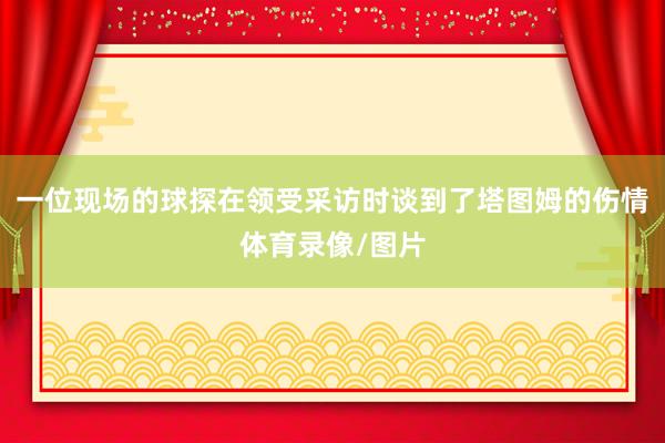 一位现场的球探在领受采访时谈到了塔图姆的伤情体育录像/图片