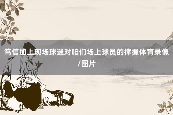 笃信加上现场球迷对咱们场上球员的撑握体育录像/图片