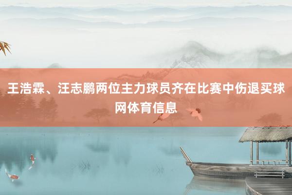 王浩霖、汪志鹏两位主力球员齐在比赛中伤退买球网体育信息