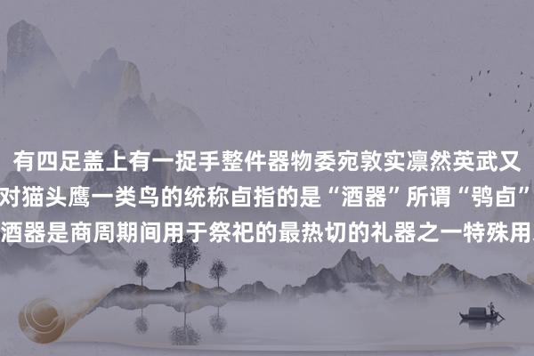 有四足盖上有一捉手整件器物委宛敦实凛然英武又不失可人鸮是我国
