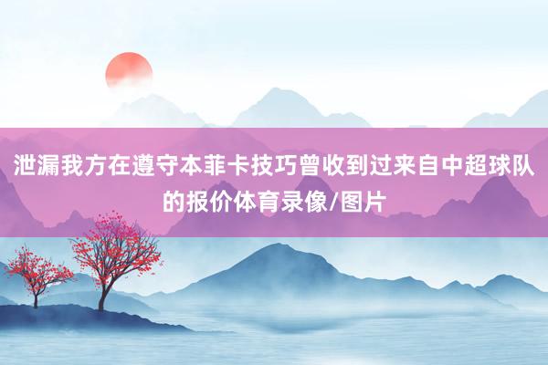 泄漏我方在遵守本菲卡技巧曾收到过来自中超球队的报价体育录像/图片