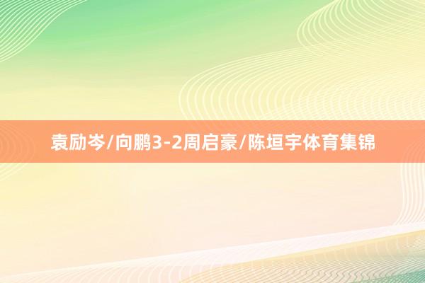 袁励岑/向鹏3-2周启豪/陈垣宇体育集锦