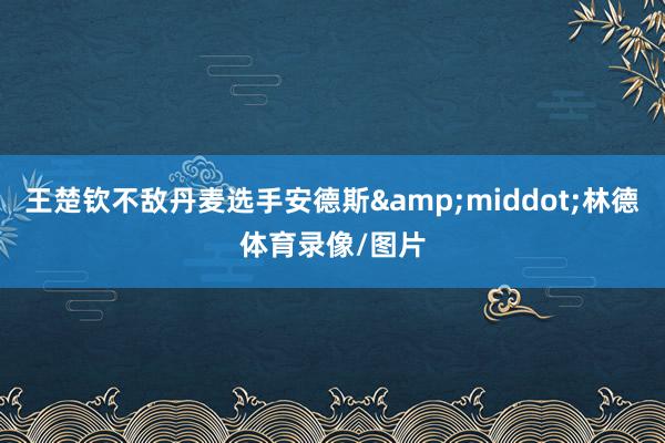 王楚钦不敌丹麦选手安德斯&middot;林德体育录像/图片