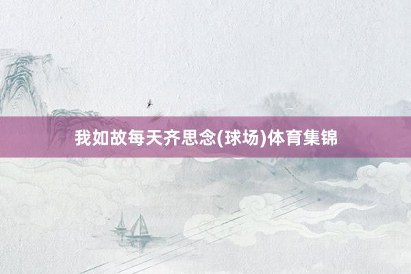 我如故每天齐思念(球场)体育集锦