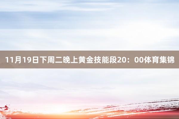 11月19日下周二晚上黄金技能段20：00体育集锦