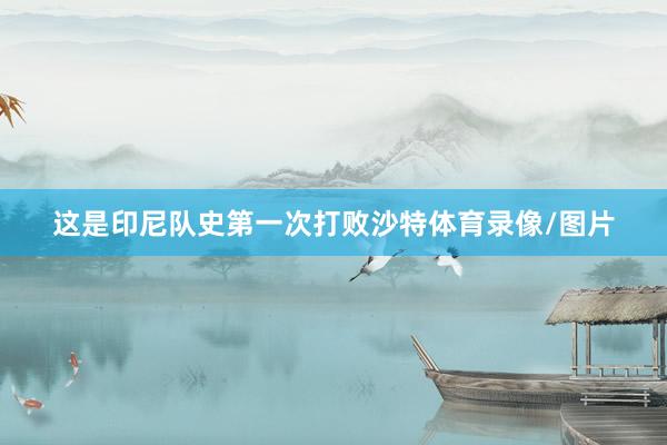 这是印尼队史第一次打败沙特体育录像/图片