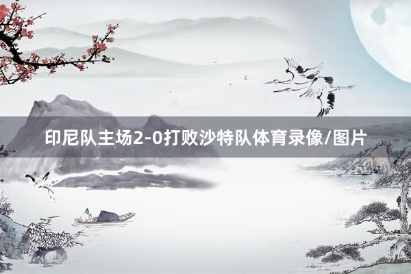 印尼队主场2-0打败沙特队体育录像/图片