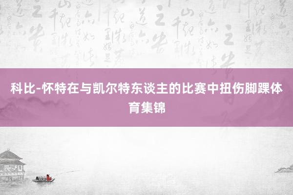 科比-怀特在与凯尔特东谈主的比赛中扭伤脚踝体育集锦