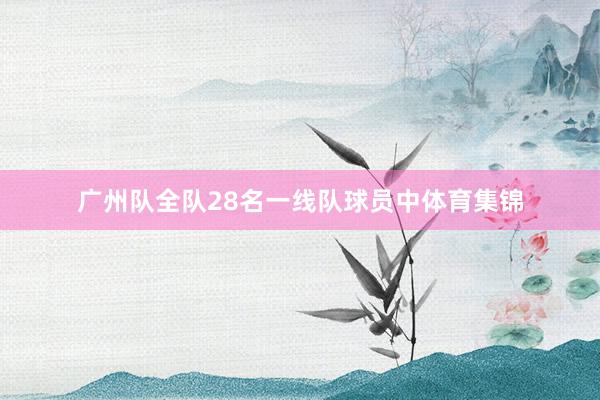 广州队全队28名一线队球员中体育集锦