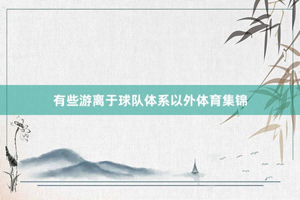 有些游离于球队体系以外体育集锦