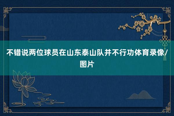 不错说两位球员在山东泰山队并不行功体育录像/图片