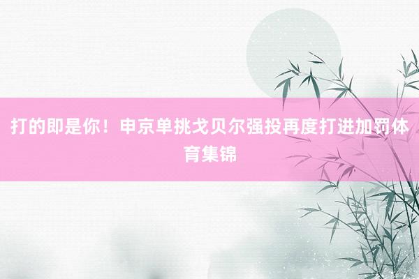 打的即是你！申京单挑戈贝尔强投再度打进加罚体育集锦