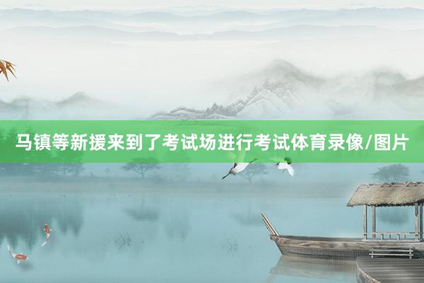 马镇等新援来到了考试场进行考试体育录像/图片