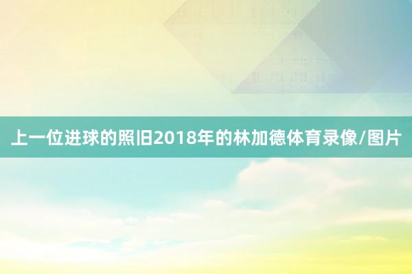 上一位进球的照旧2018年的林加德体育录像/图片