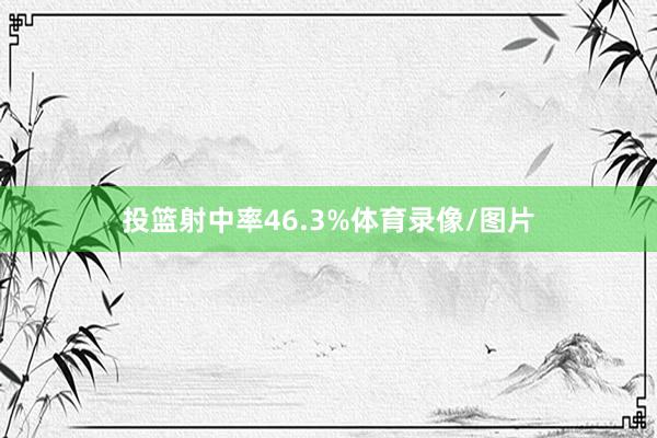 投篮射中率46.3%体育录像/图片