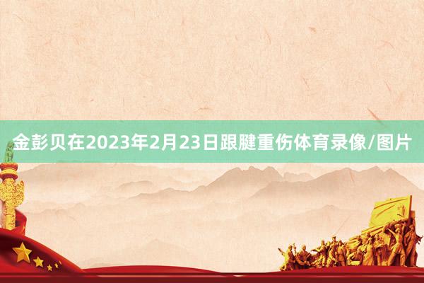 金彭贝在2023年2月23日跟腱重伤体育录像/图片