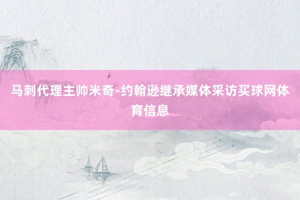 马刺代理主帅米奇-约翰逊继承媒体采访买球网体育信息
