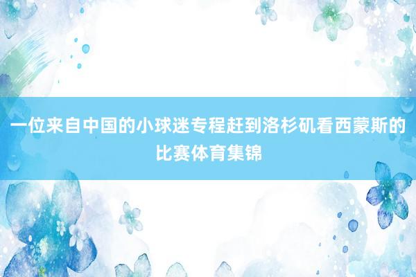 一位来自中国的小球迷专程赶到洛杉矶看西蒙斯的比赛体育集锦
