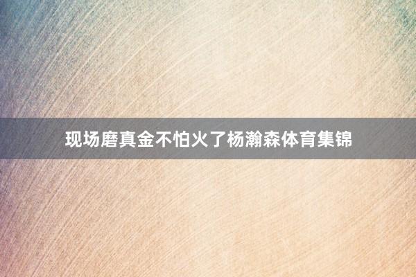 现场磨真金不怕火了杨瀚森体育集锦