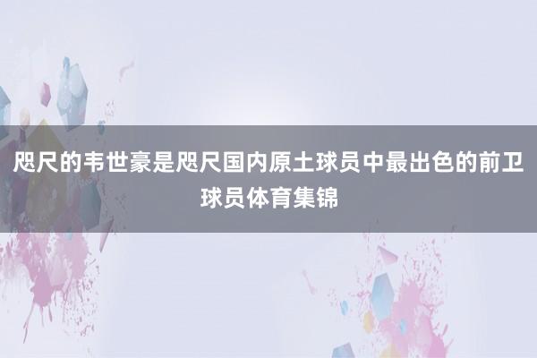 咫尺的韦世豪是咫尺国内原土球员中最出色的前卫球员体育集锦