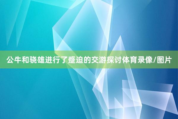 公牛和骁雄进行了蹙迫的交游探讨体育录像/图片