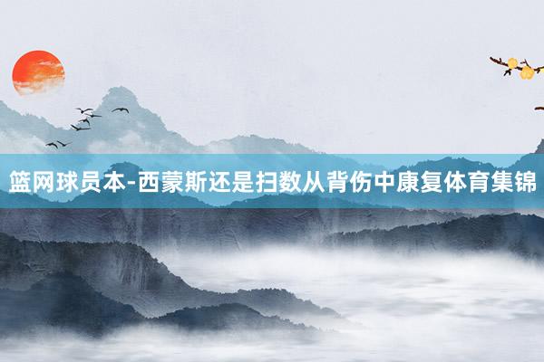 篮网球员本-西蒙斯还是扫数从背伤中康复体育集锦