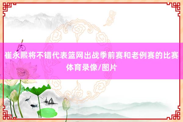 崔永熙将不错代表篮网出战季前赛和老例赛的比赛体育录像/图片