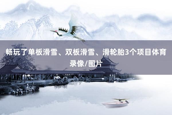 畅玩了单板滑雪、双板滑雪、滑轮胎3个项目体育录像/图片