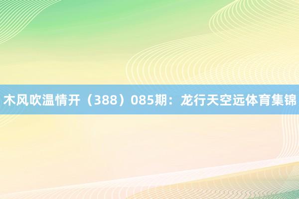 木风吹温情开（388）　　085期：龙行天空远体育集锦